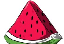 Teachers for Palestine: entretien avec les fondatrices du collectif