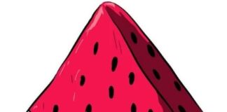 Teachers for Palestine: entretien avec les fondatrices du collectif