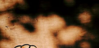 La droitisation de l’école s’accélère. La résistance aussi !