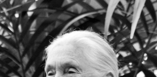 In memoriam Jane Goodall (1934-2025). Inspiratiebron voor onderwijsmakers in tijden van crisis A close-up of a person smiling AI-generated content may be incorrect.