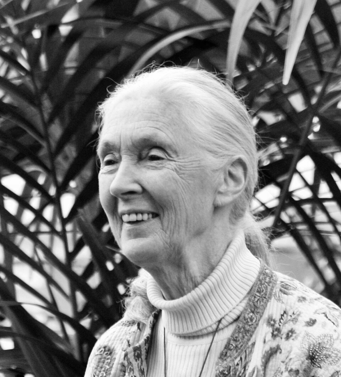 A close-up of a person smiling AI-generated content may be incorrect.