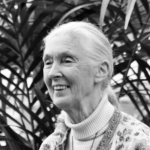 a-close-up-of-a-person-smiling-ai-generated-conte